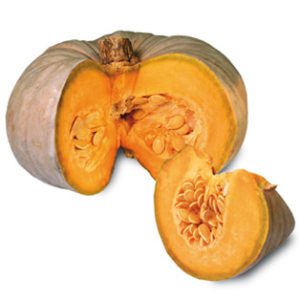 zucca piacentina