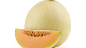 Melone liscio